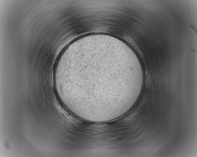 X0000102340939200808221627