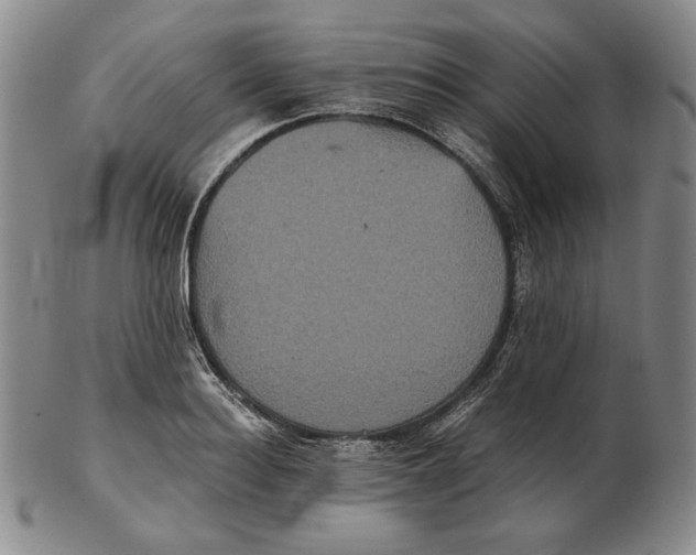 X0000102340940200808221628