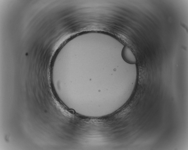 X0000102340942200808221628