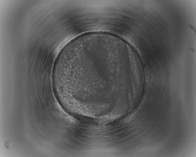 X0000102340943200808221628