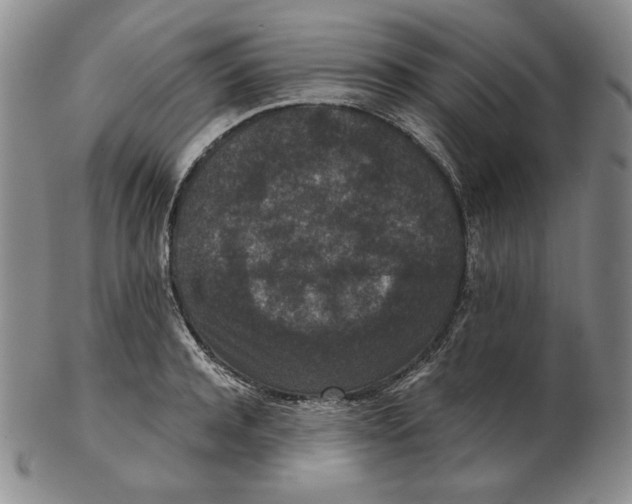 X0000102340944200808221628