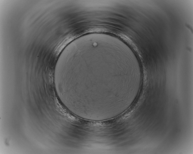 X0000102340945200808221628