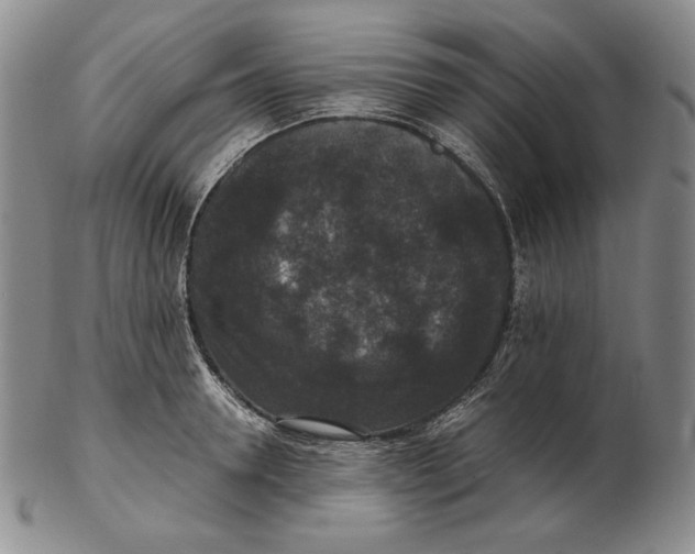 X0000102340946200808221628