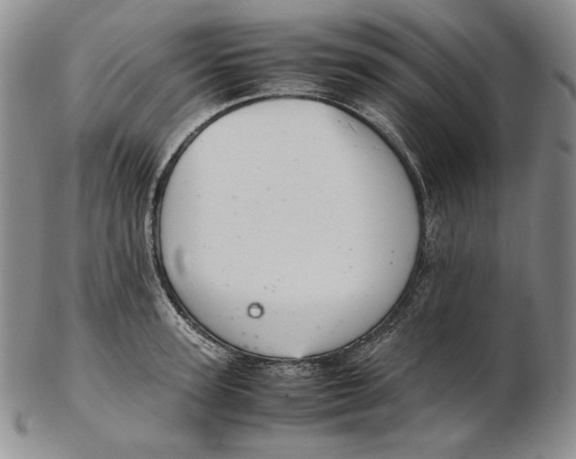 X0000102340947200808221628