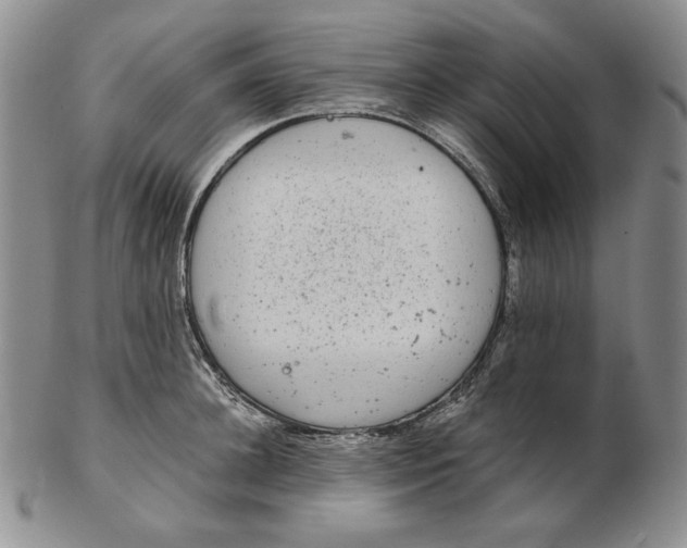 X0000102340948200808221628