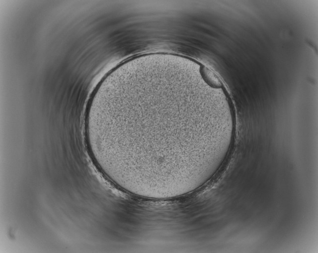 X0000102340949200808221628