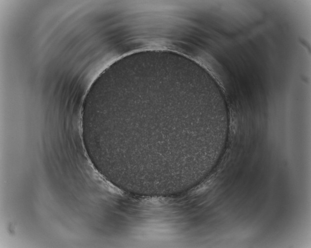 X0000102340950200808221628