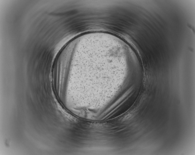 X0000102340951200808221628