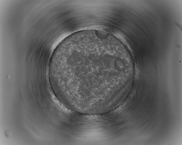 X0000102340952200808221628