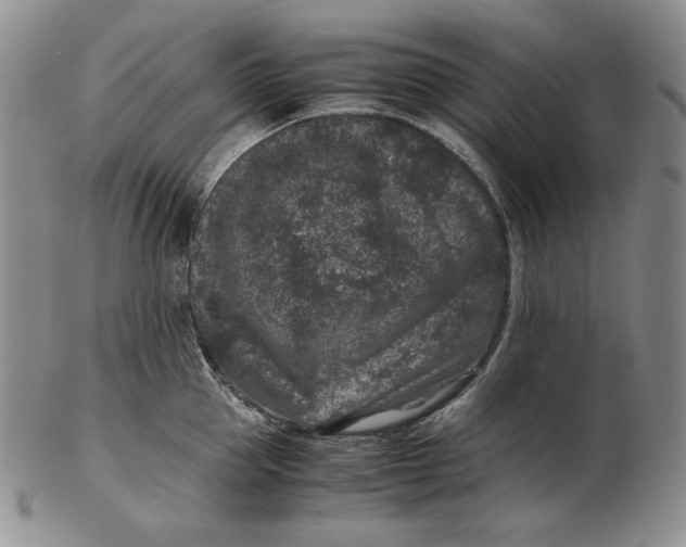 X0000102340953200808221628