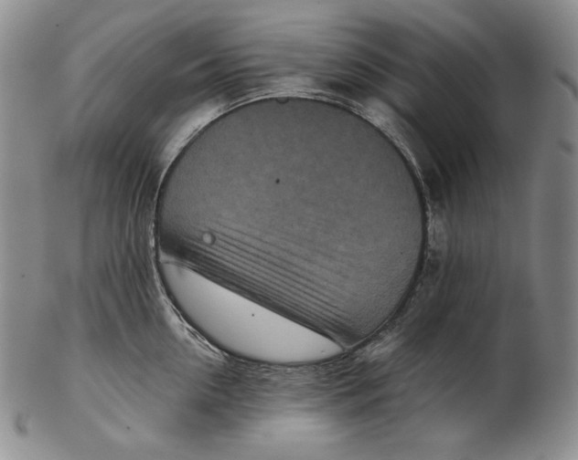 X0000102340954200808221628