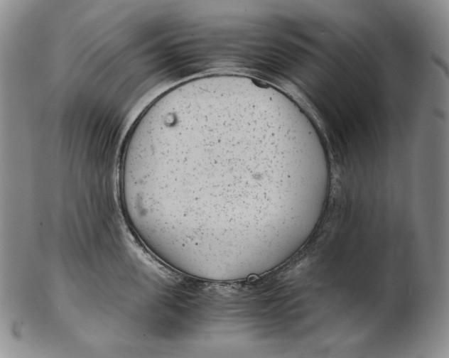 X0000102340955200808221628