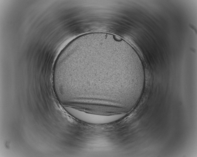 X0000102340956200808221628