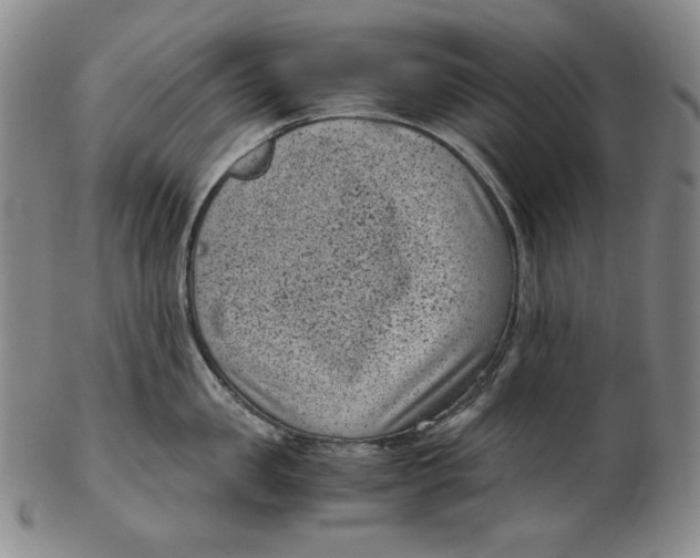 X0000102340957200808221628