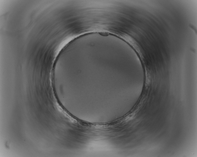 X0000102340958200808221628