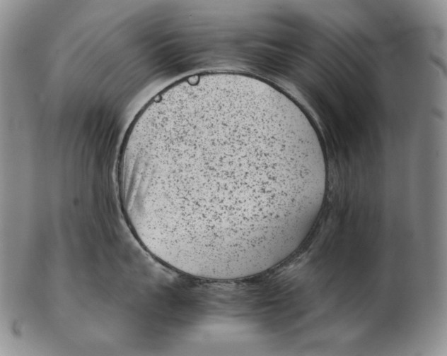 X0000102340959200808221628