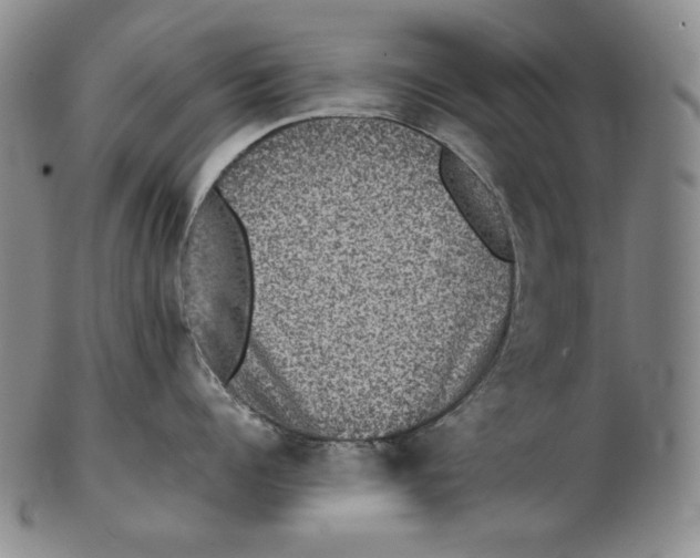 X0000102340960200808221628