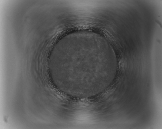 X0000102340961200808221627