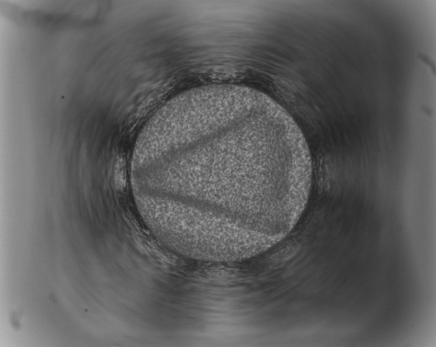 X0000102340962200808221627