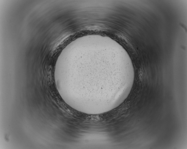 X0000102340968200808221627