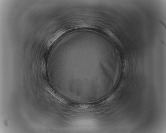 X0000102340969200808221627