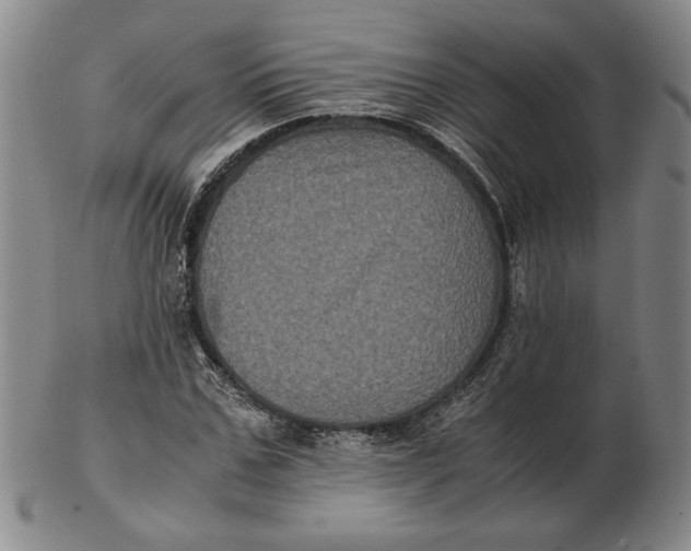 X0000102340971200808221627