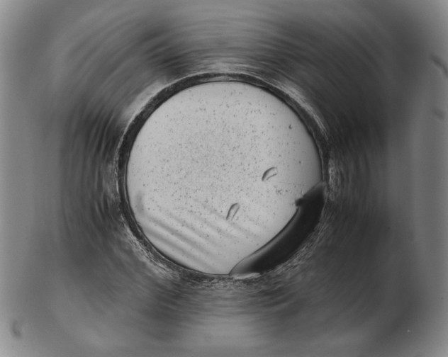 X0000102340972200808221627