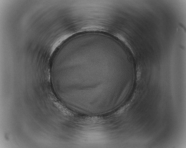 X0000102340973200808221627