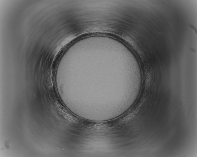 X0000102340974200808221627