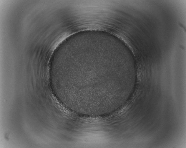 X0000102340975200808221627