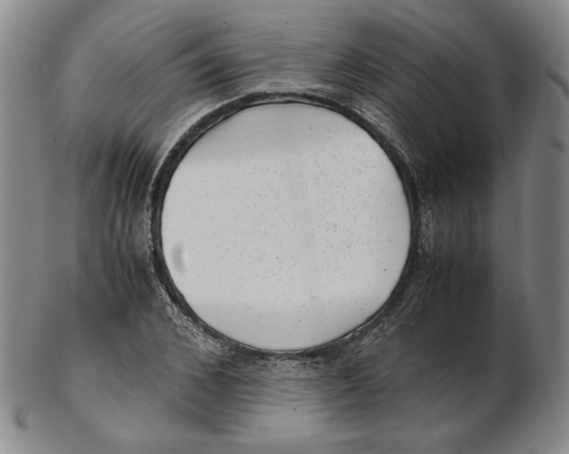 X0000102340976200808221627