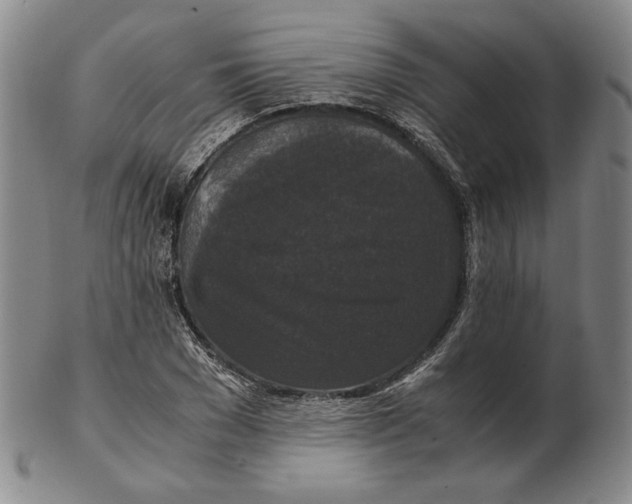 X0000102340977200808221627