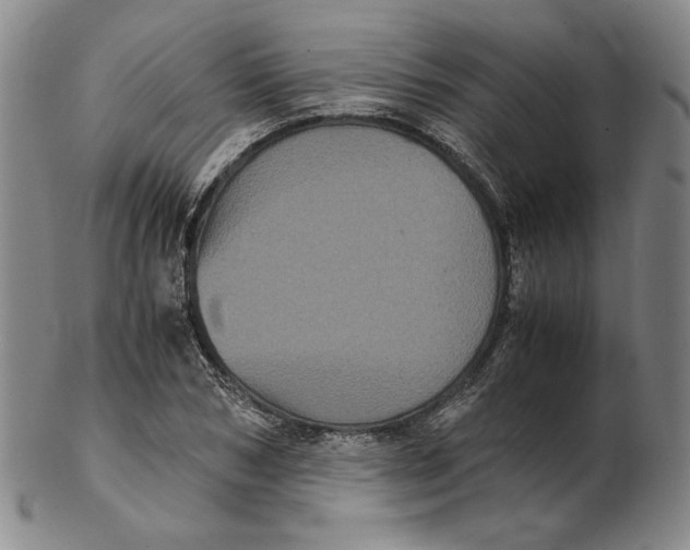 X0000102340978200808221627