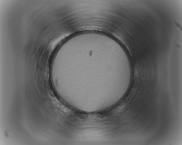 X0000102340979200808221627