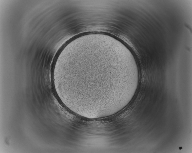 X0000102340980200808221627