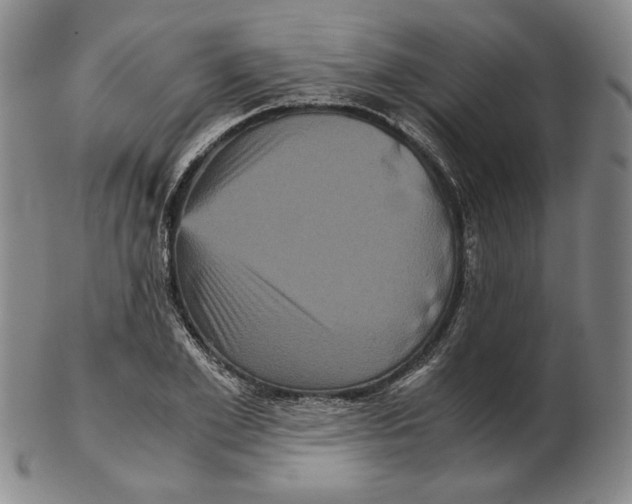 X0000102340981200808221627