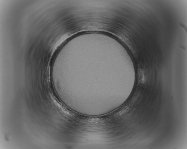 X0000102340982200808221627