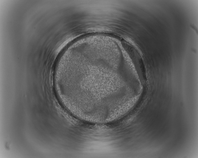 X0000102340983200808221627