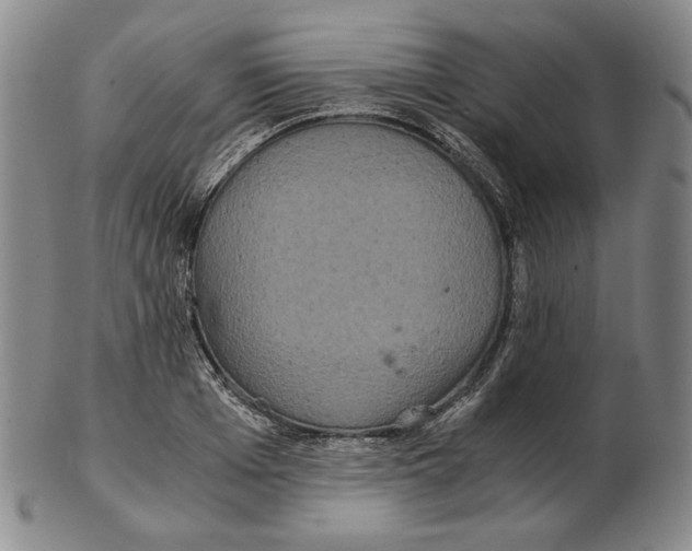 X0000102340985200808221627