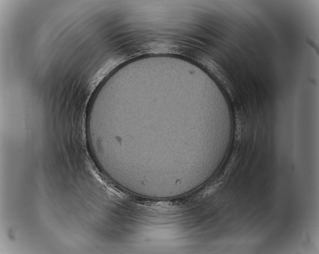 X0000102340986200808221627