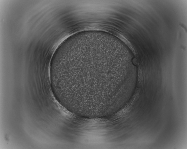 X0000102340988200808221627