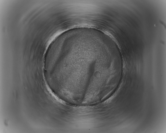 X0000102340989200808221627