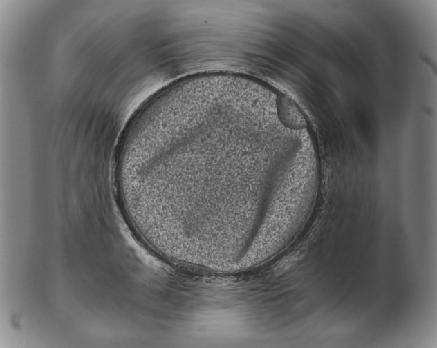 X0000102340991200808221627