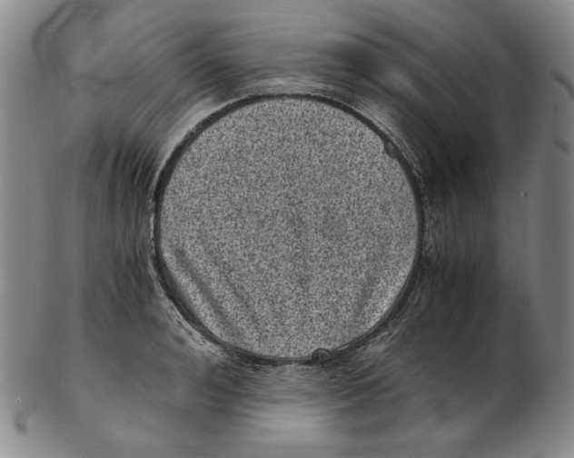 X0000102340992200808221627