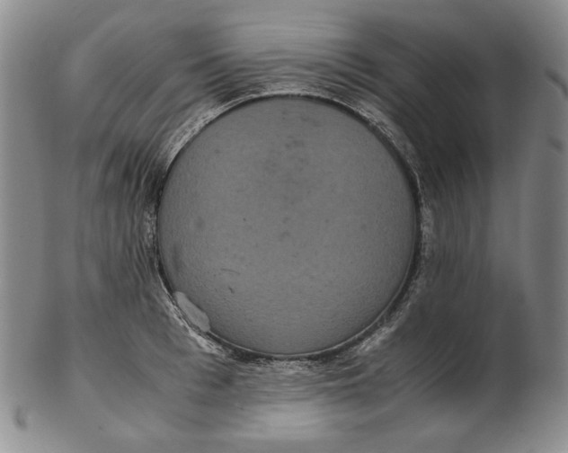 X0000102340993200808221627