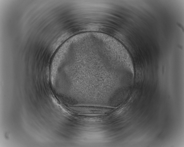 X0000102340994200808221627