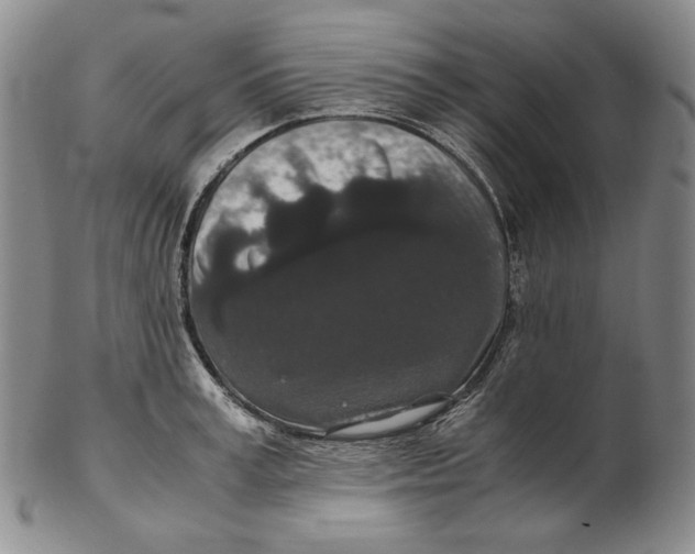 X0000102340995200808221627