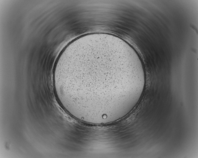 X0000102340996200808221627