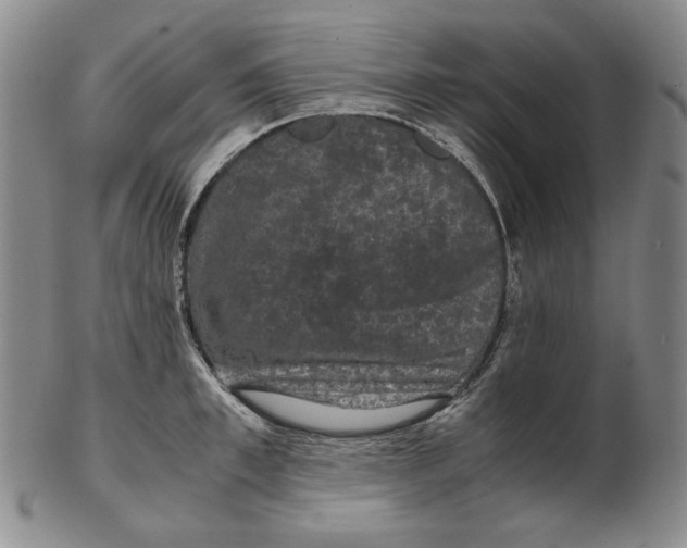 X0000102340997200808221627