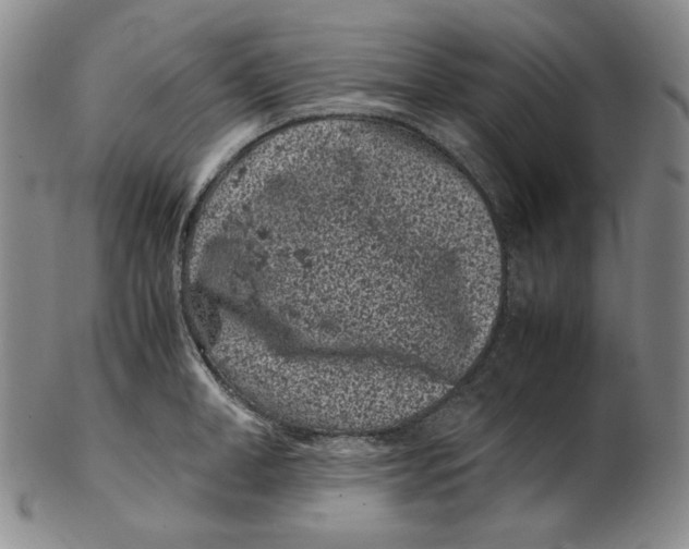 X0000102340998200808221627